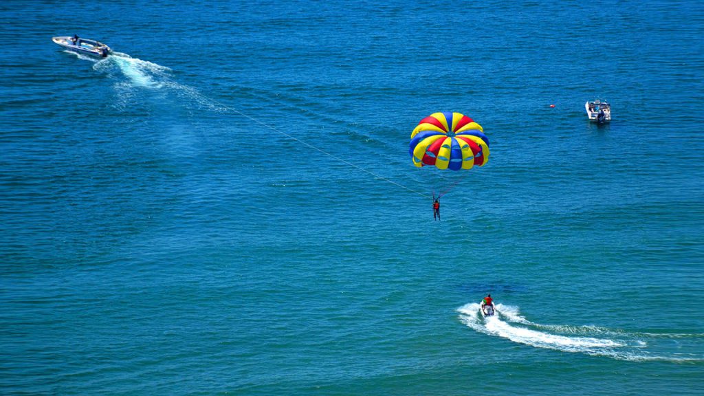 Beach-Activity-Artwork-Venezia-beach