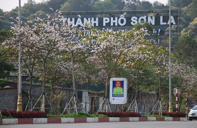 Thành Phố Sơn La Khám phá về thành phố của những người Thái